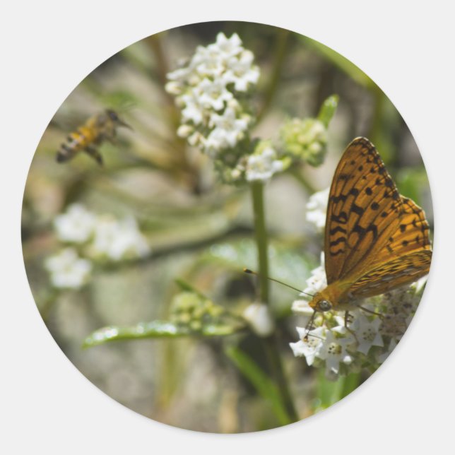 Orange Butterfly and Bee Classic Round Sticker (Front)