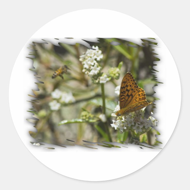 Orange Butterfly and Bee Classic Round Sticker (Front)