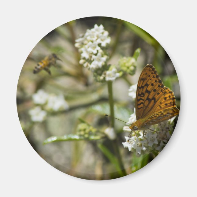 Orange Butterfly and Bee Magnet (Front)