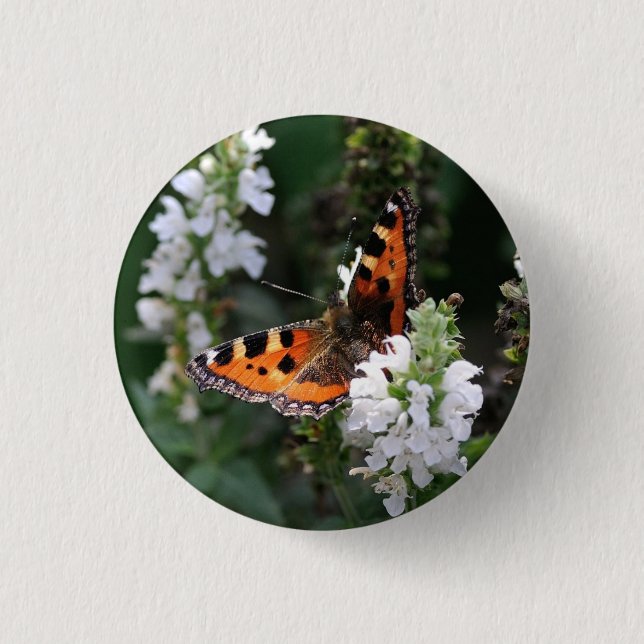 Orange Butterfly and White Blossoms Button (Front)