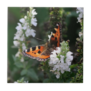 Orange Butterfly and White Blossoms Ceramic Tile