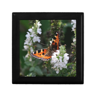 Orange Butterfly and White Blossoms Gift Box