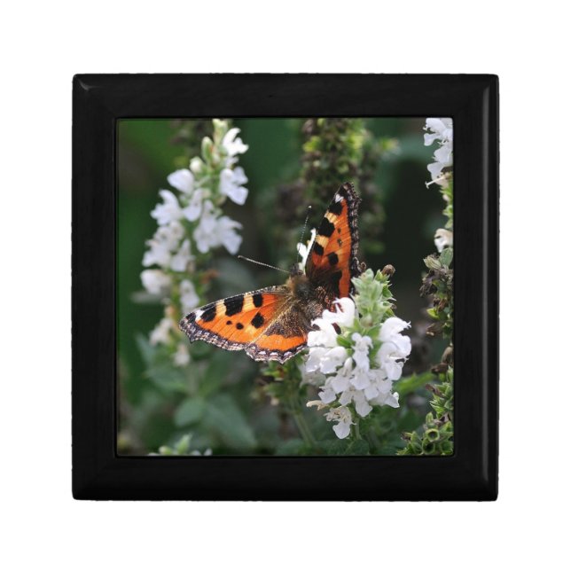 Orange Butterfly and White Blossoms Gift Box (Front)
