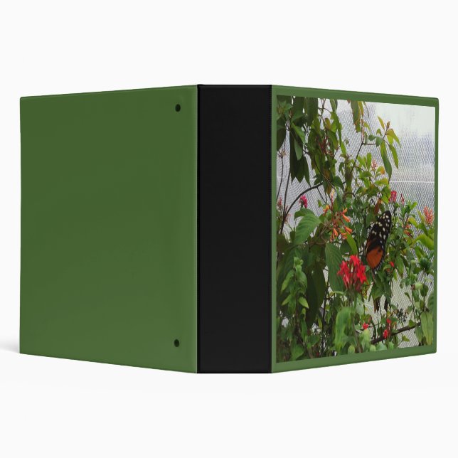 ORANGE BUTTERFLY BINDER (Background)