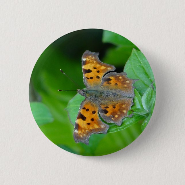 Orange butterfly button (Front)