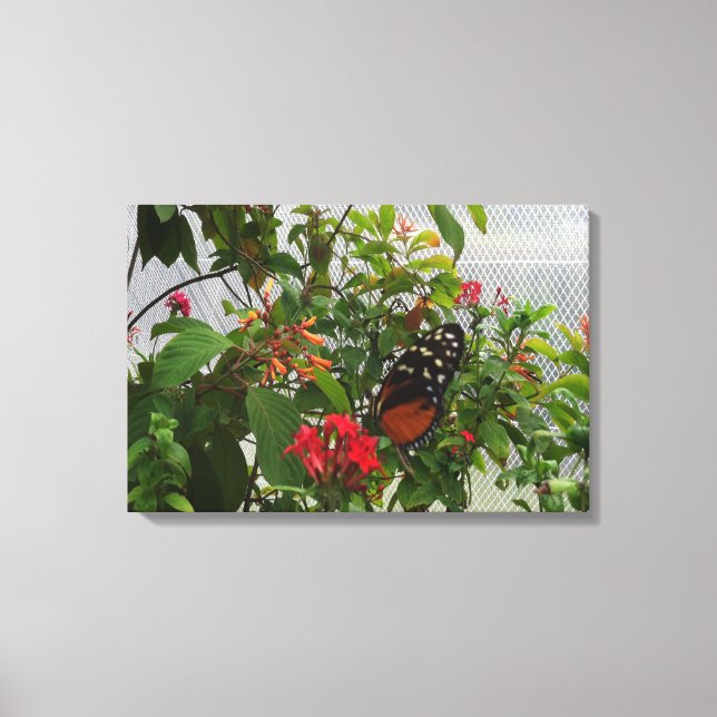 ORANGE BUTTERFLY CANVAS PRINT (Front)