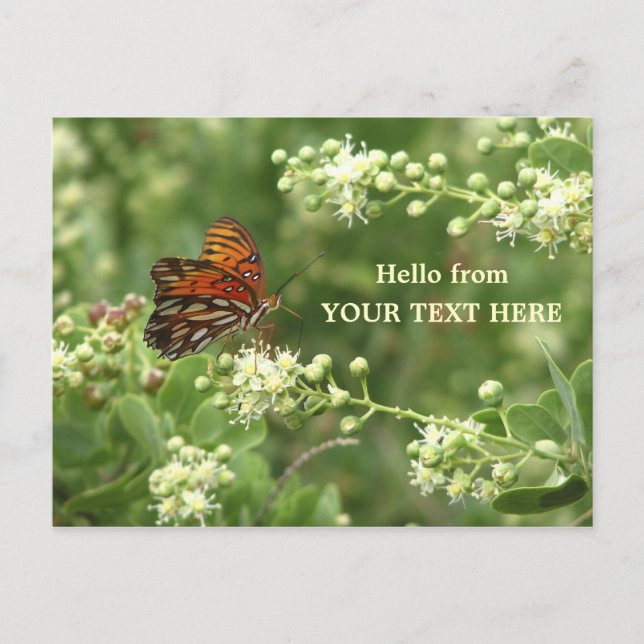 Orange Butterfly Customized "Hello from" Postcard (Front)