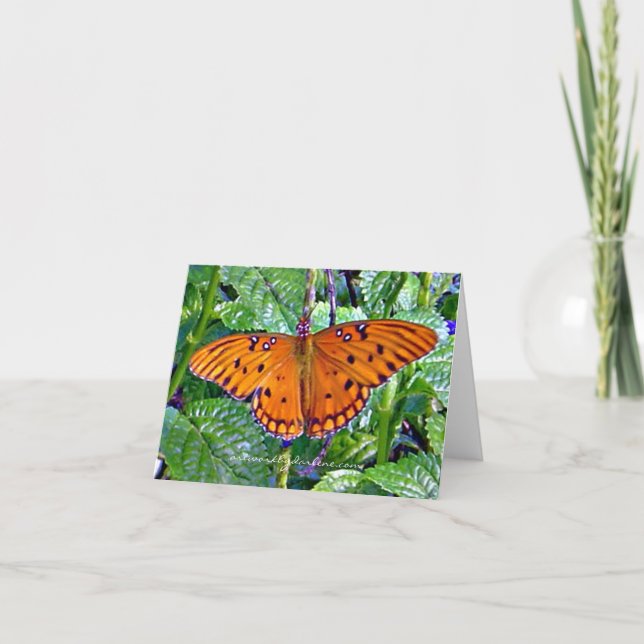 Orange butterfly holiday card (Front)