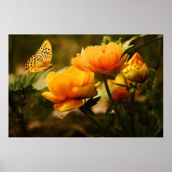 Orange Butterfly Hovering Over Blooming Flowers Poster by EnhancedImages at Zazzle