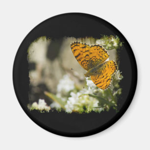 Orange Butterfly Magnet