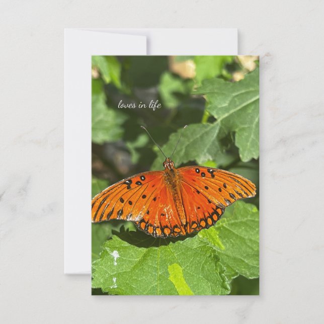 Orange Butterfly Note Card (Front)