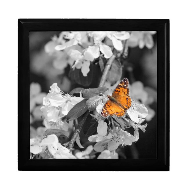 Orange Butterfly on Apple Blossom Keepsake Box (Front)