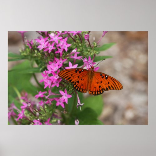 Orange Butterfly on Canvas Print