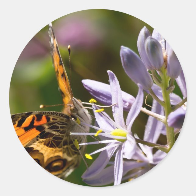 Orange Butterfly on Wild Hyacinth Apparel & Gifts Classic Round Sticker (Front)
