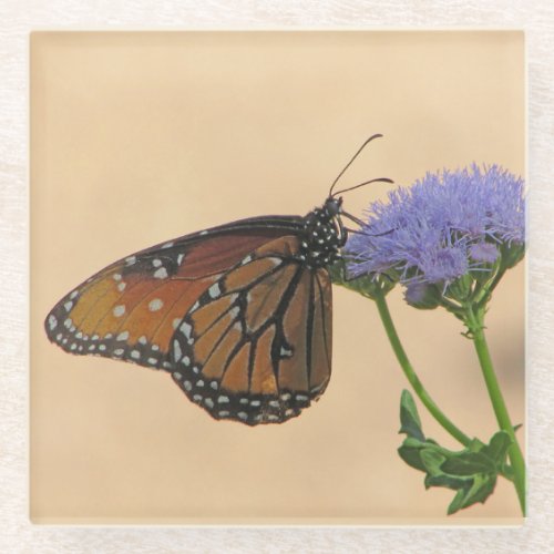 Orange Butterfly Purple Flower Insect Nature Photo Glass Coaster