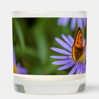 Orange Butterfly Scented Candle