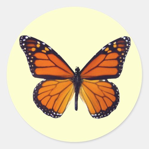Orange Butterfly Stickers