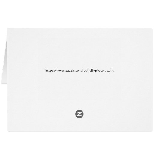 orange butterfly ,thank you (Back Horizontal)