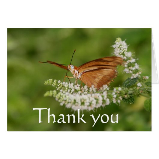 orange butterfly ,thank you cards (Front Horizontal)