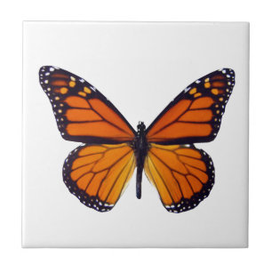 Orange Butterfly Tile