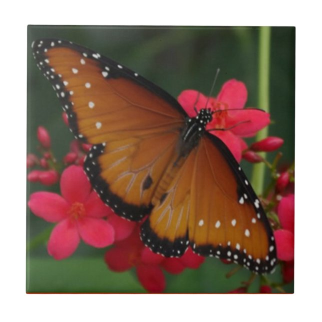 Orange Butterfly tile (Front)