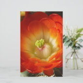 Orange-Cactus-flower (Standing Front)