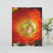 Orange-Cactus-flower (Standing Front)