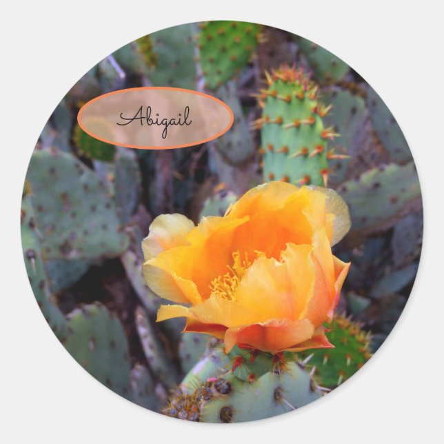 Orange Cactus Flower Blossom Prickly Pear Opuntia Classic Round Sticker (Front)