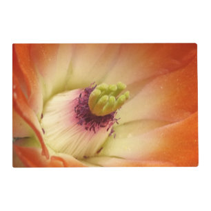 Orange Cactus Flower Laminated Placemat