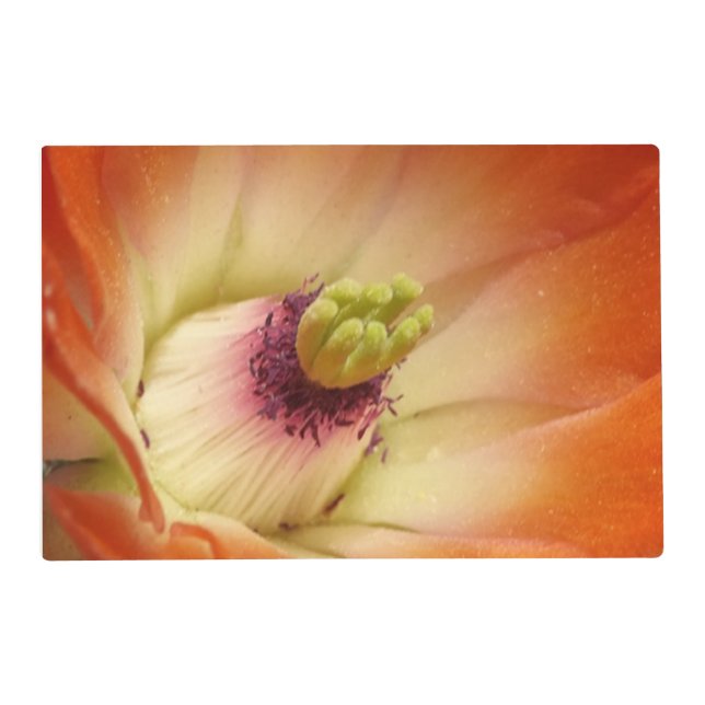 Orange Cactus Flower Laminated Placemat (Front)