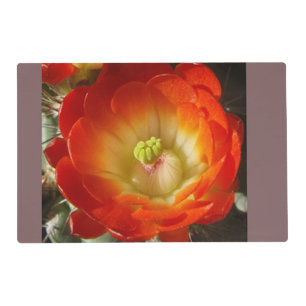 Orange Cactus Flower Laminated Placemat