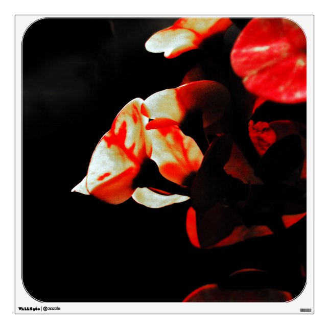 Orange Cactus Flower Wall Sticker (Front)