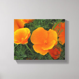 Orange California Flowers Canvas Print