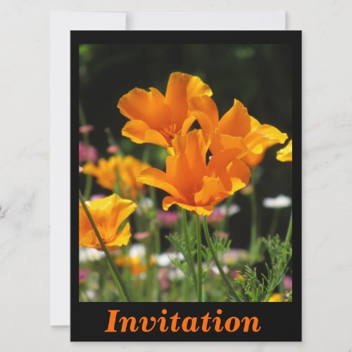 Orange California Poppies Invitation