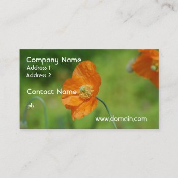 Orange California Poppy Business Card by GoingPlaces at Zazzle