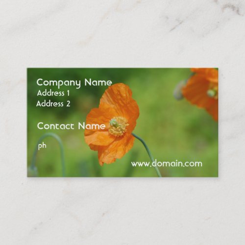 Orange California Poppy Business Card