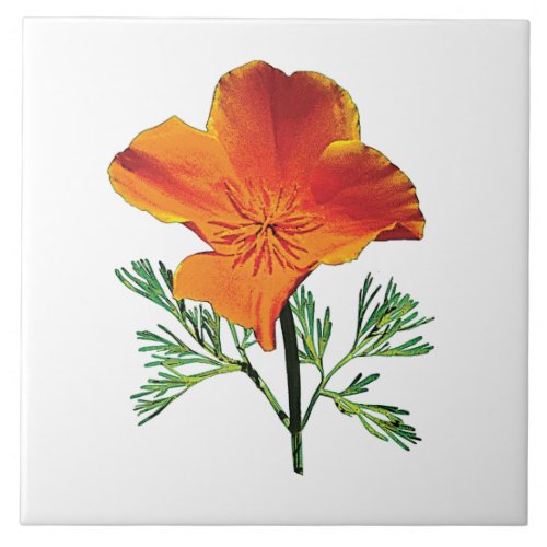 Orange California Poppy Ceramic Tile