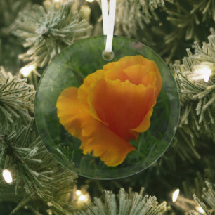 Orange California Poppy Floral Photo Glass Ornament