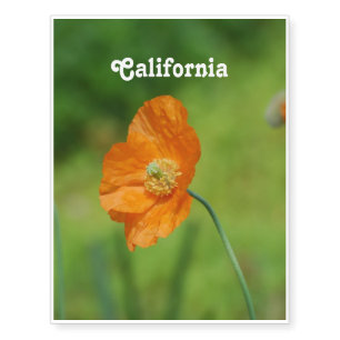 Orange California Poppy Temporary Tattoos