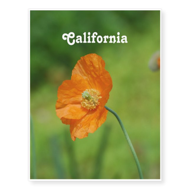 Orange California Poppy Temporary Tattoos (Front)
