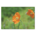 Orange California Poppy Tissue Paper