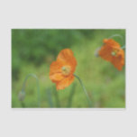 Orange California Poppy Tissue Paper