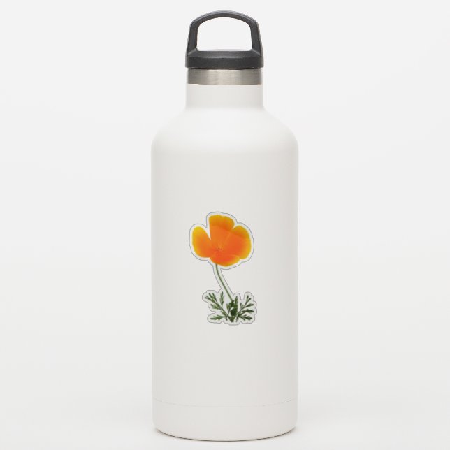 orange Californian poppy Sticker (Waterbottle)