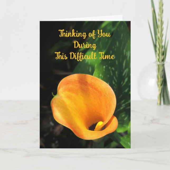 Orange Calla Lily Thinking of You Sympathy Card (Front)