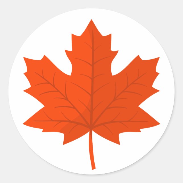 Orange Canadian Maple Tree Leaf Classic Round Sticker (Front)