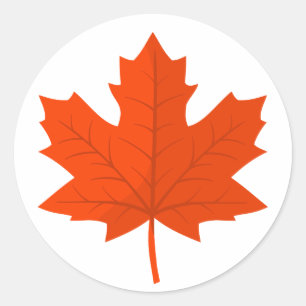Orange Canadian Maple Tree Leaf Classic Round Sticker