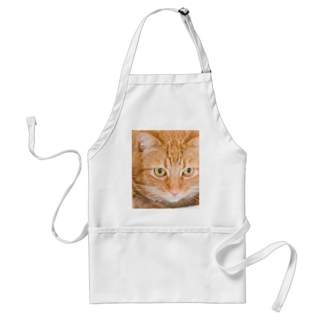 Orange cat adult apron (Front)