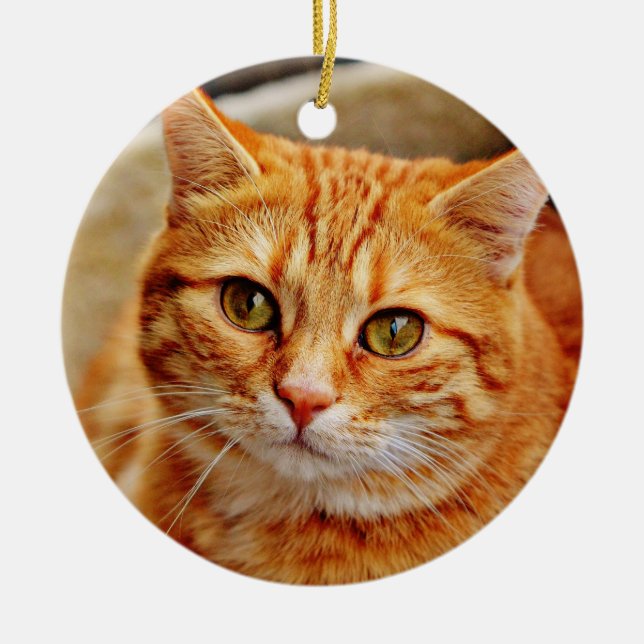 Orange Cat Ceramic Ornament (Front)
