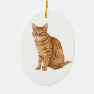 Orange Cat Ceramic Ornament