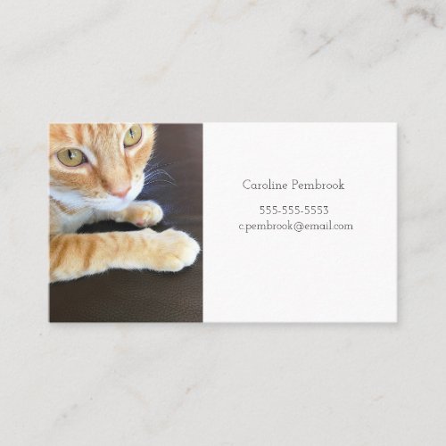 Orange cat closeup business card